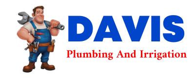 Trusted plumber in DANTE